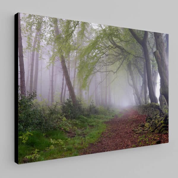 Peak District Canvas Prints by Phil Sproson Photography