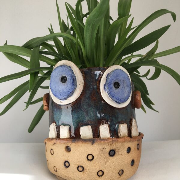 A monster pot with a plant sat in made by Funkyfish Ceramics