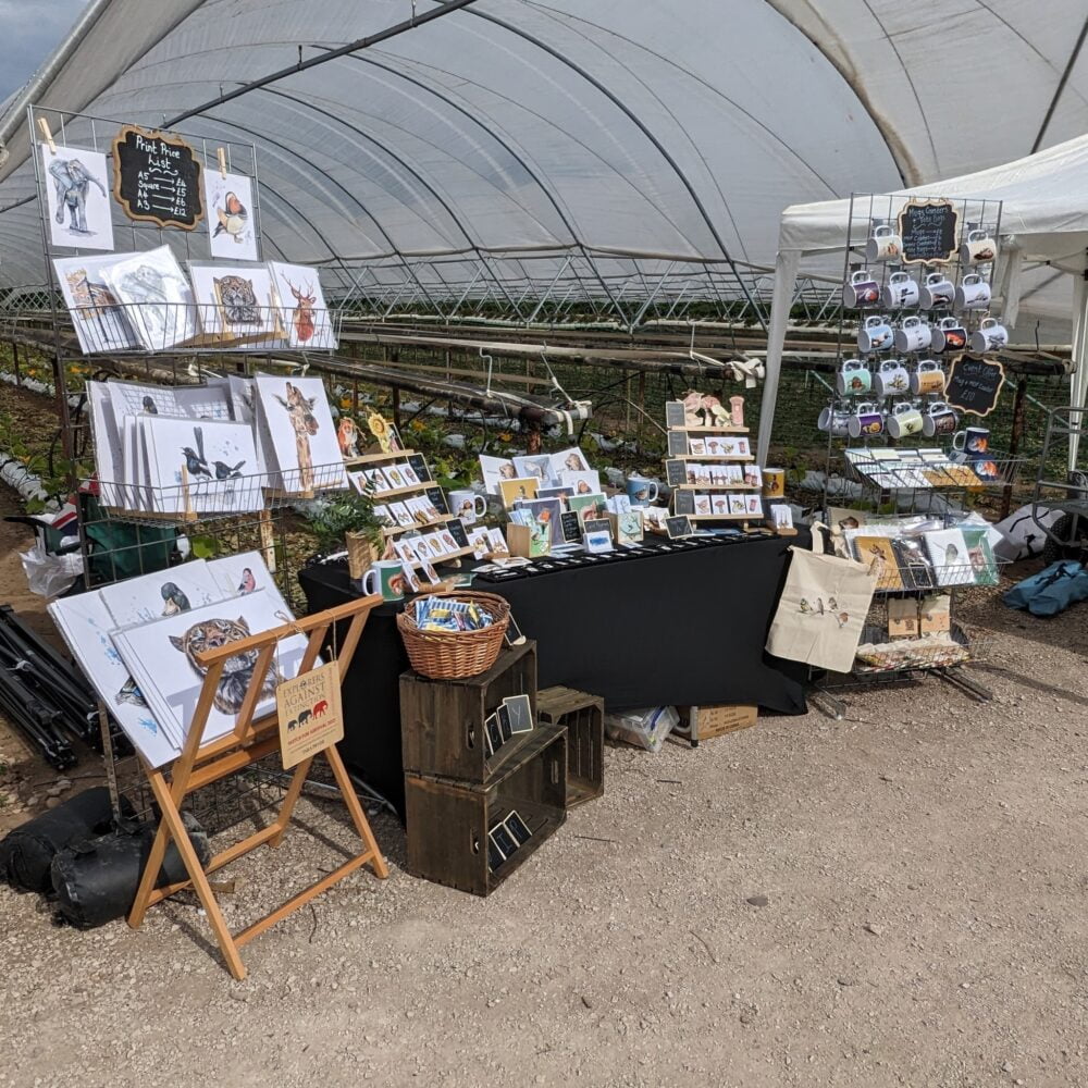 A table in a strawberry tunnel, showing all my artwork and products