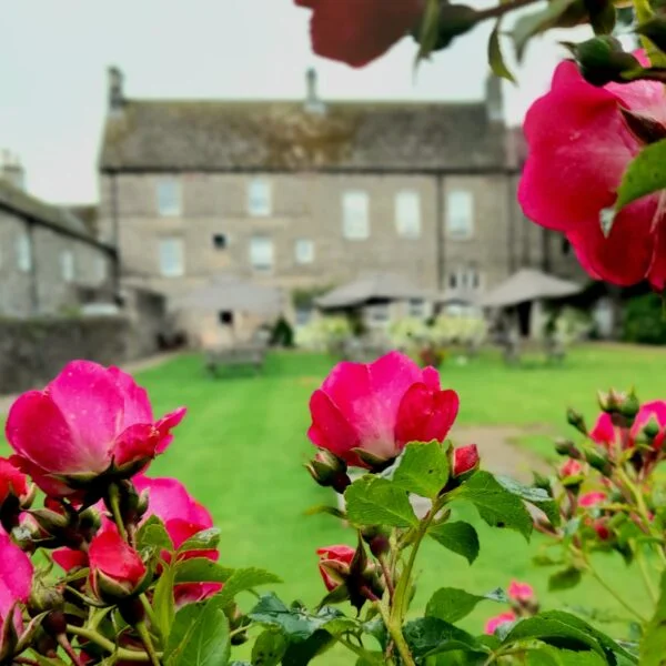 photograph of teh lord crewe garden with red roses in front of a lush green lawn and historic hotel in the background