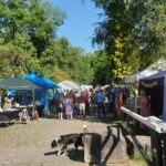 whaleybridgecanal.org