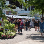 Kenilworth Market Summer market by CJ's Events