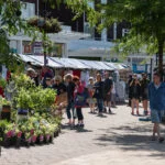 Kenilworth Market Summer market by CJ's Events