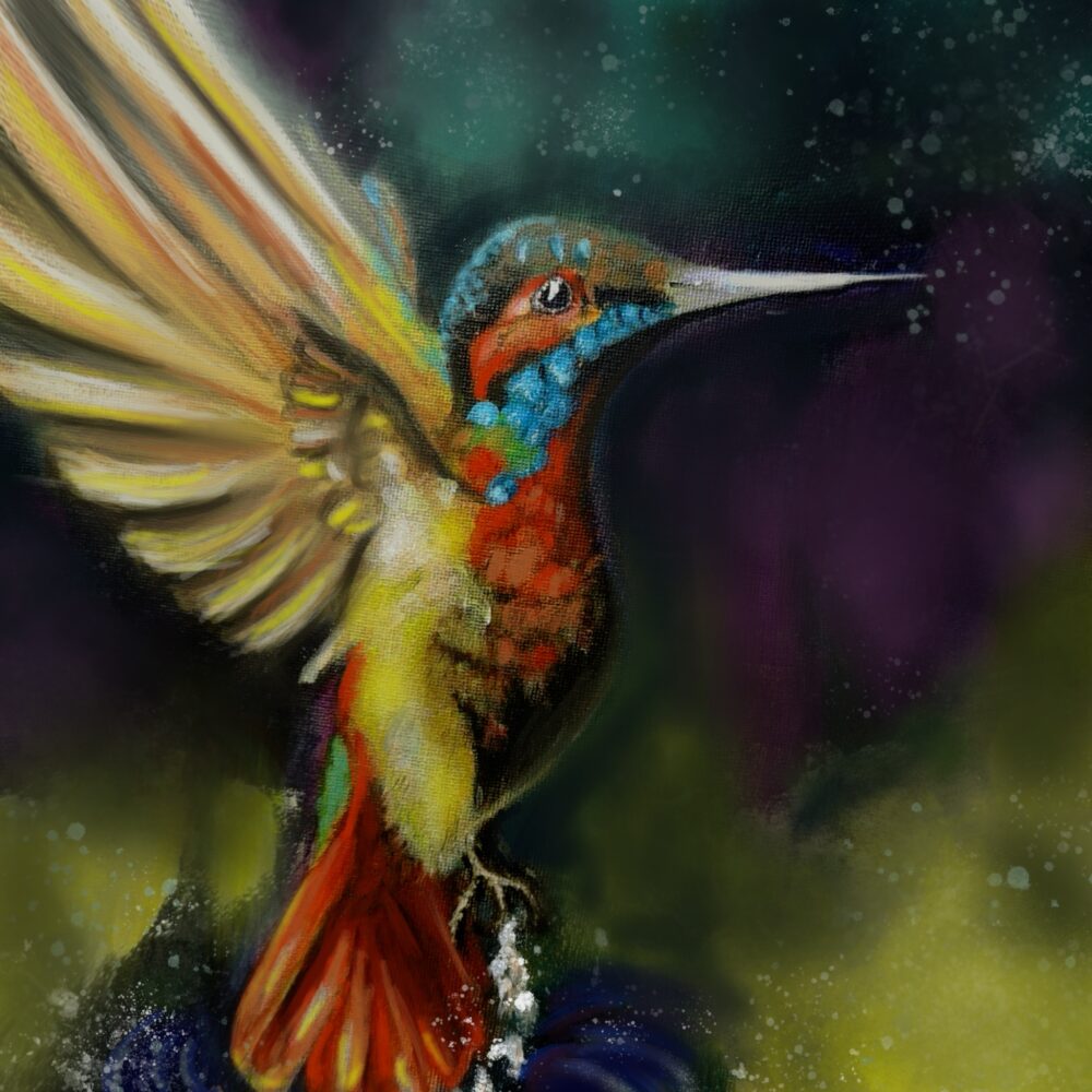 On a dark shadowy background flutters a beautiful hummingbird in red, turquoise and golden colours. Nightshade Arte