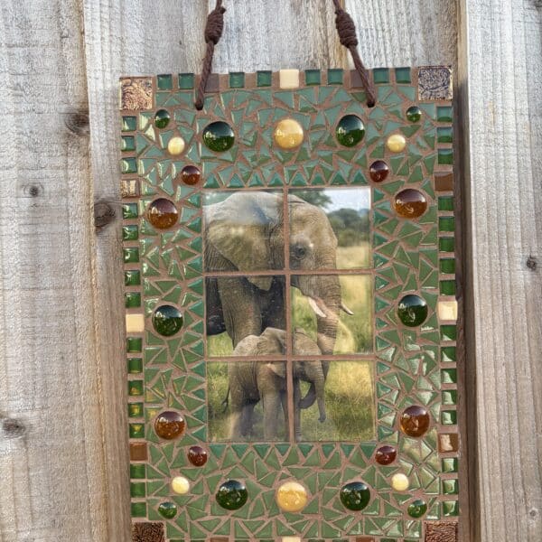 African Elephant & calf