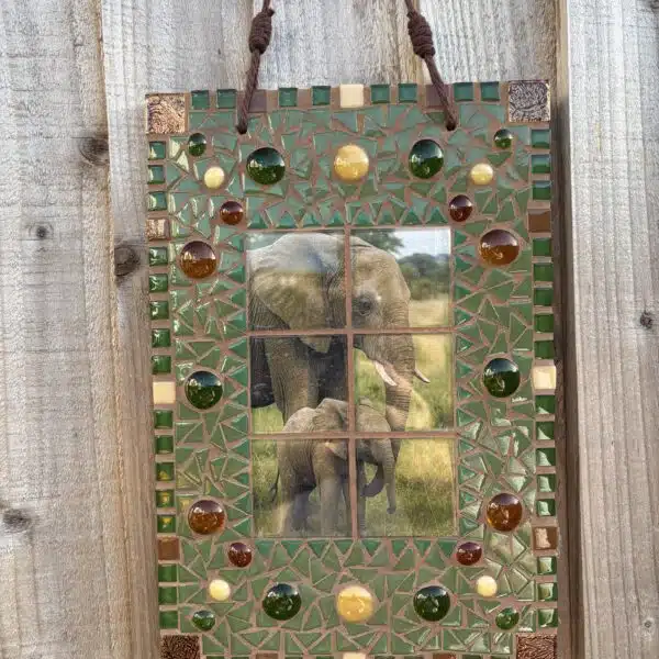 African Elephant & calf