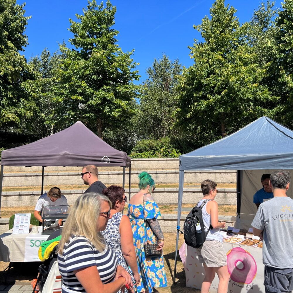 Vegan Fiesta Basingstoke