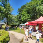 Dronfield Hall Barn Rear garden