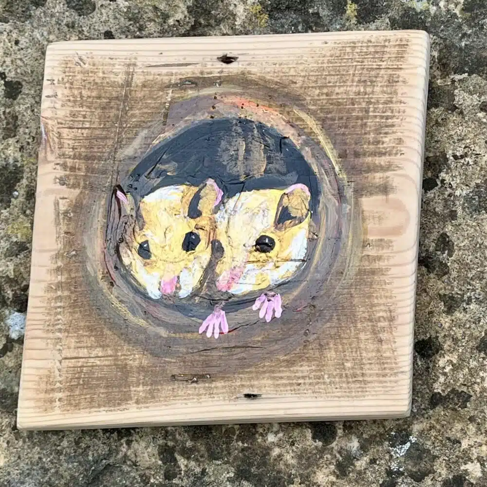 Andy and Rachael Nature Art