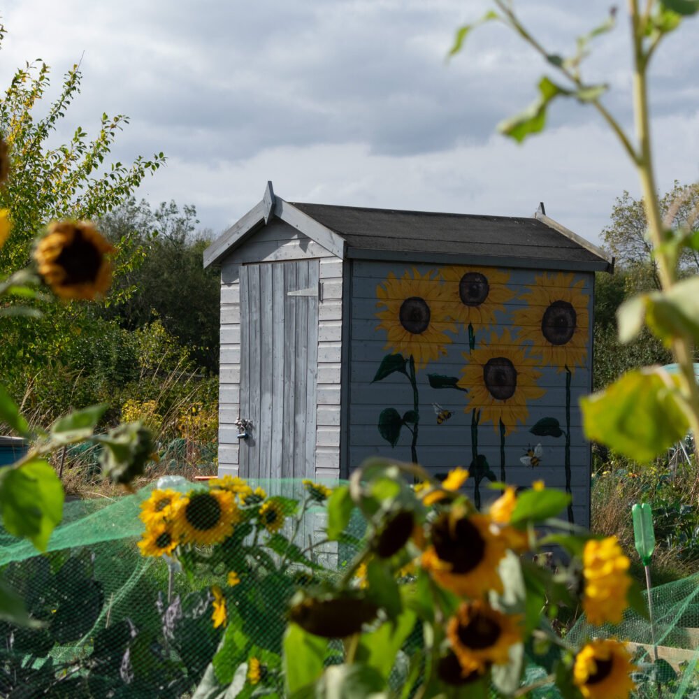 The Green Shed