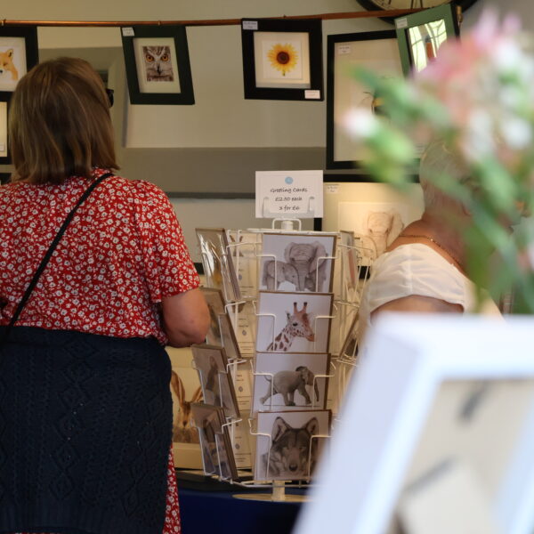 Customer looks at a framed pencil drawing of an owl on a stall at Tissington Craft Fair in Derbyshire, Tissington Craft Fairs