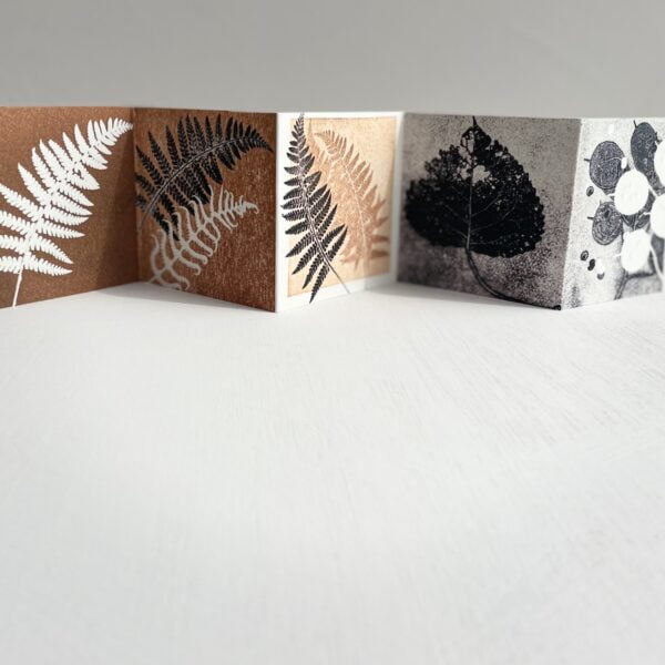 Botanical concertina book displaying five panels. The first panel features a white fern leaf print on a brown background. The second panel shows a black fern leaf print overlapping a white fern leaf on a brown background. The third panel features a black fern leaf print on a lighter brown background. The fourth panel displays a black print of a broad leaf on a grey background. The fifth panel shows a black and white print of circular shapes, honesty seed pods, on a grey background. The book is unfolded and standing on a light-coloured surface."