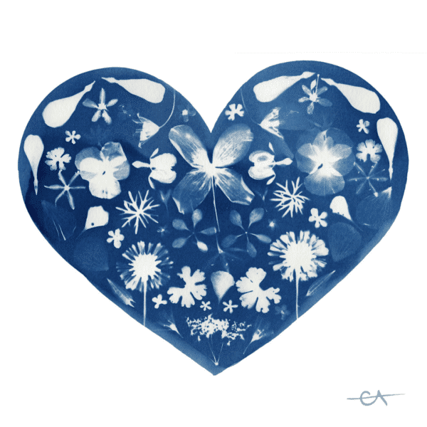 E Arnold Fine Art Blooming Heart Cyanotype