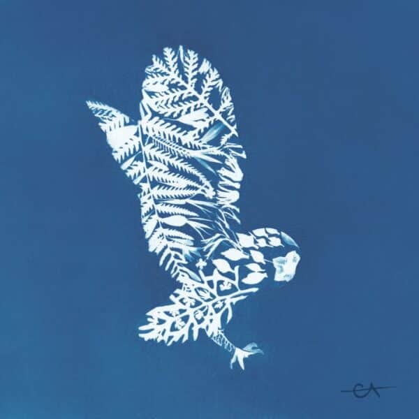 E Arnold Fine Art, Taking Off, owl cyanotype