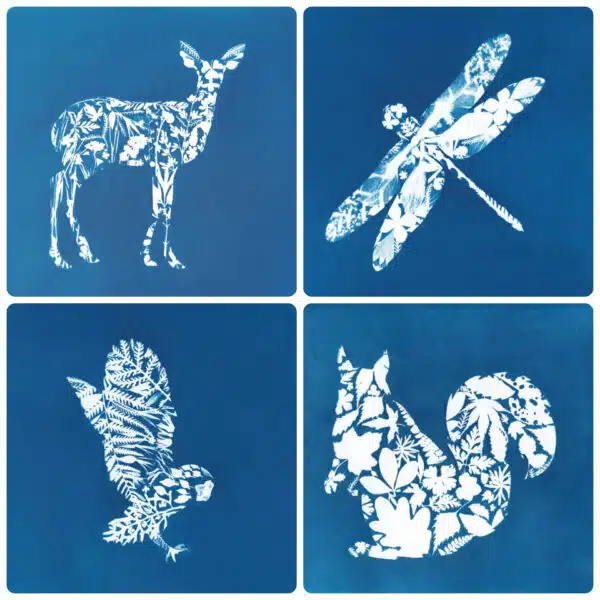 Cyanotype Artworks of British Wildlife