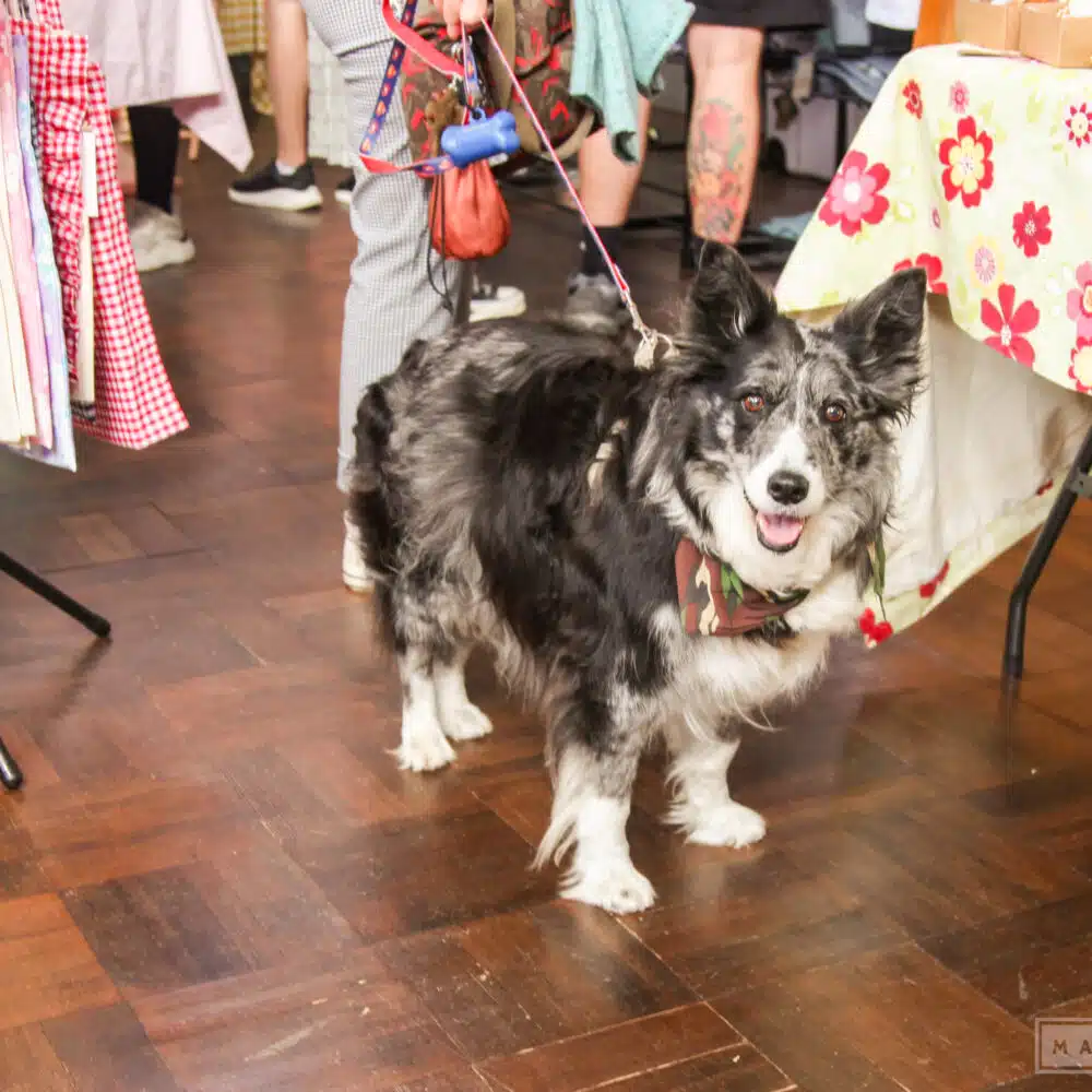 The Crafty Bazaar – Summer <br>Makers Market