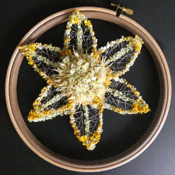 A large yellow and white flower in a round embroidery hoop on a black background