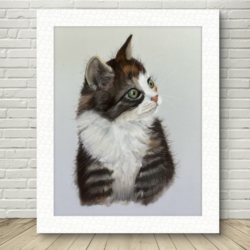 Kitten