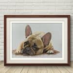 Waiting , but for what? Photo Realistic animal portraits by Nadine Carey Art