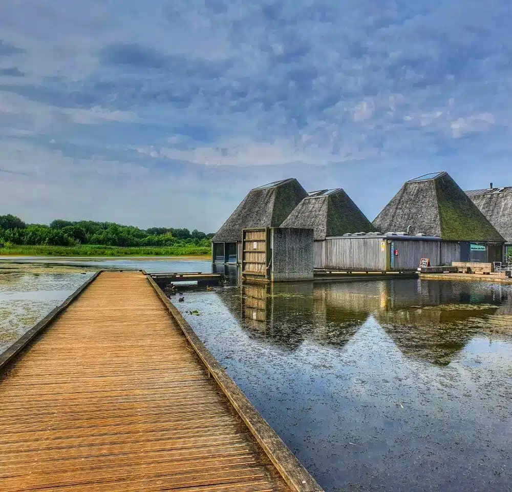 Brockholes <br>Artisan Market