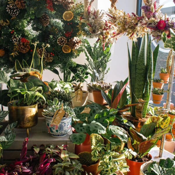 Goodsheds Market 1 - indie.collectives