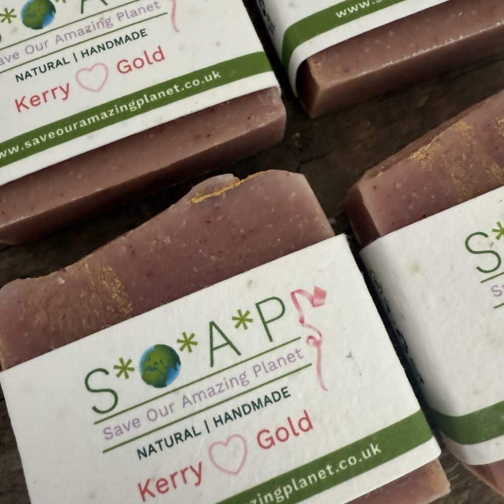 Charity S*O*A*P