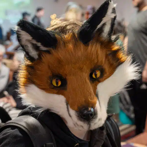 Wolf and Witch Market