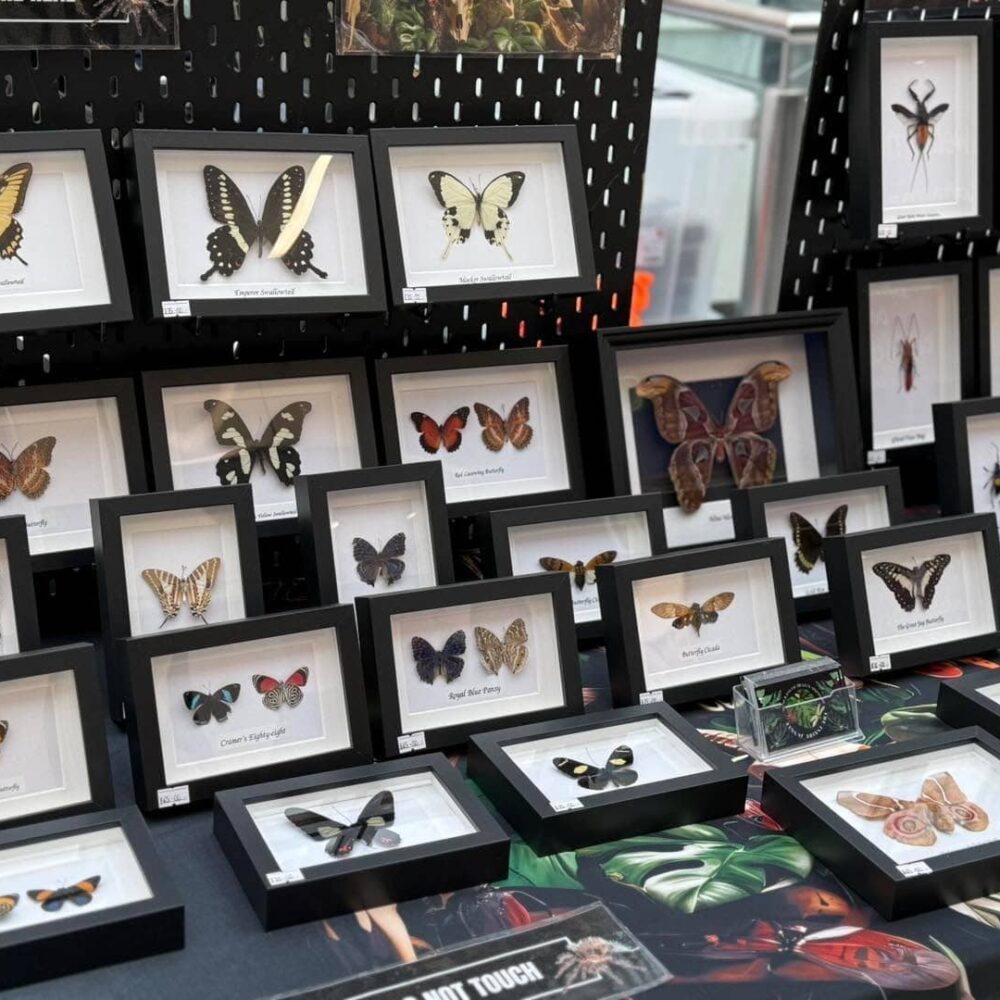 Alternative Artisan Street Fayre at Halloween