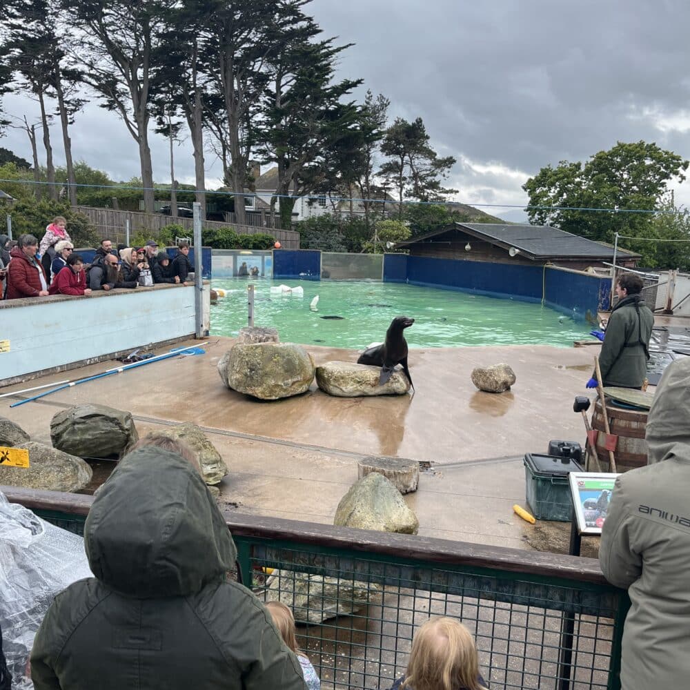 Welsh Mountain Zoo <br>Artisan Market