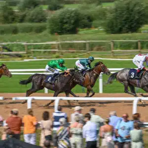 Southwell Racecourse