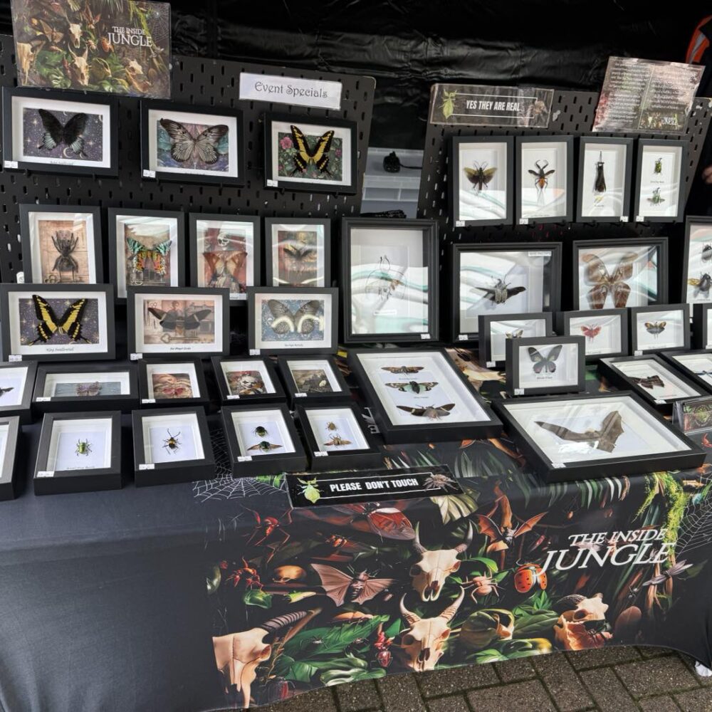 Cleveleys Town Centre (New Monthly Event) by Artisan Street Fayre