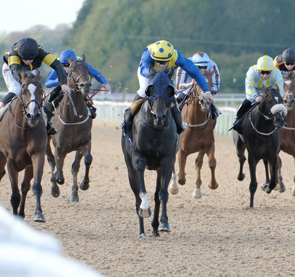Southwell Race Day Market