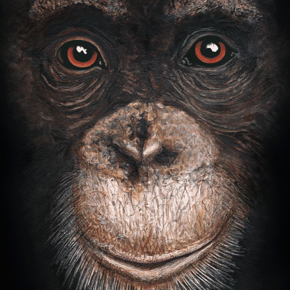 Close up of chimpanzee portrait artwork, expressive animal painting with rich tones and detailed eyes