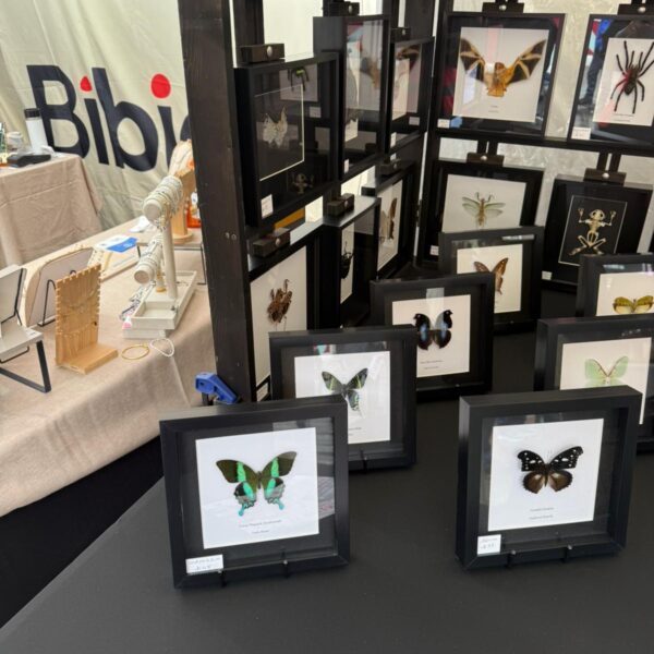 Creative stall at St Helens Artisan Market