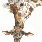 Hand-painted watercolour of a giraffe mother and baby, close-up wildlife illustration in warm neutral tones on a white background