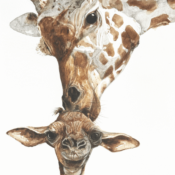 Hand-painted watercolour of a giraffe mother and baby, close-up wildlife illustration in warm neutral tones on a white background