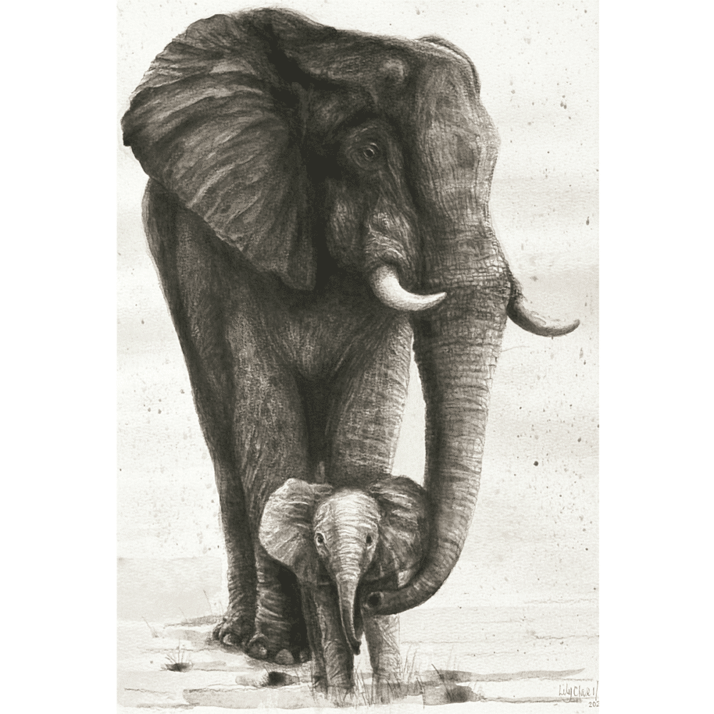 detailed illustration elephant mother and calf