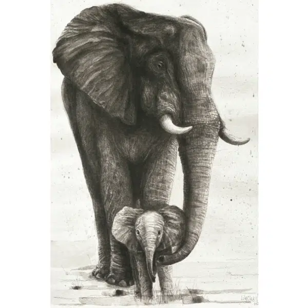 detailed illustration elephant mother and calf