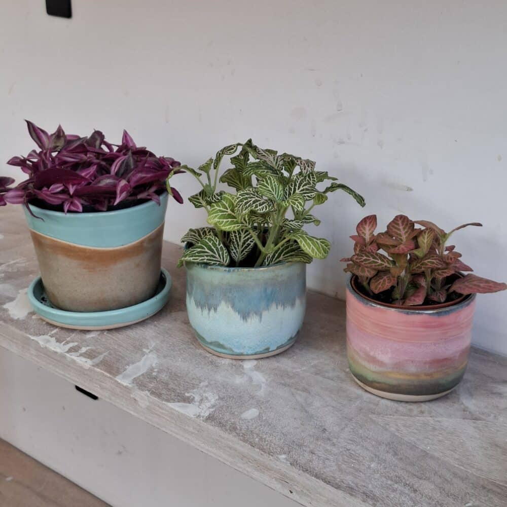 Plant Pots, claybycoleby