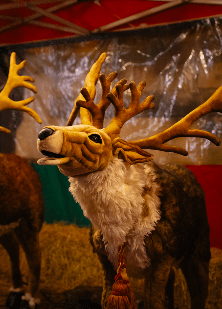 Cardiff Victorian Christmas Market