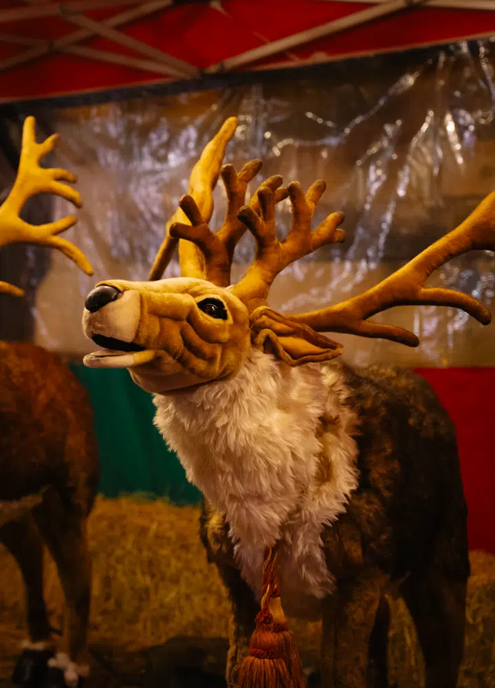 Cardiff Victorian Christmas Market