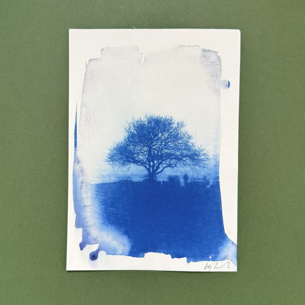 Lickey cynanotype by Warren Drawing Trees